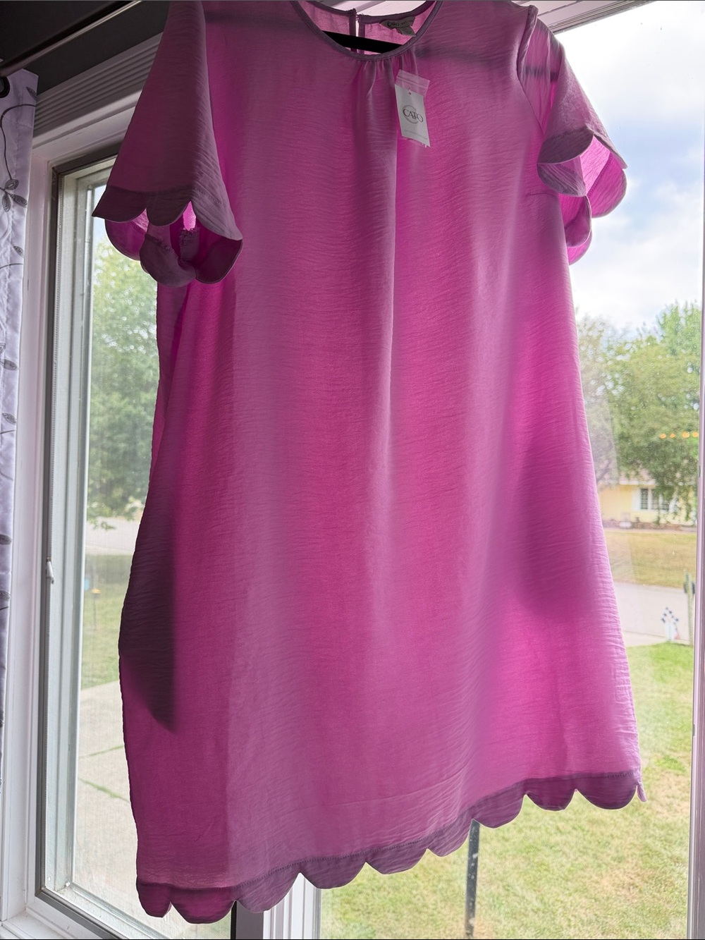 Cato Fuchsia Scalloped Short Sleeve Shift Tunic
